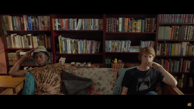 Me and Earl and the Dying Girl